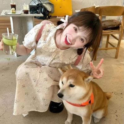烟花女子哈洛特堕落记